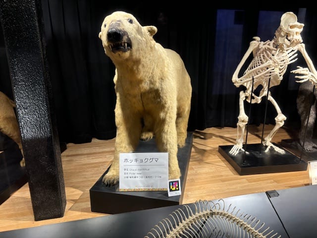 Tennoji Zoo Museum — NaviLens code