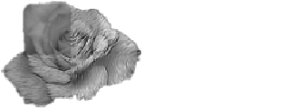 MVRLab, University of Alicante